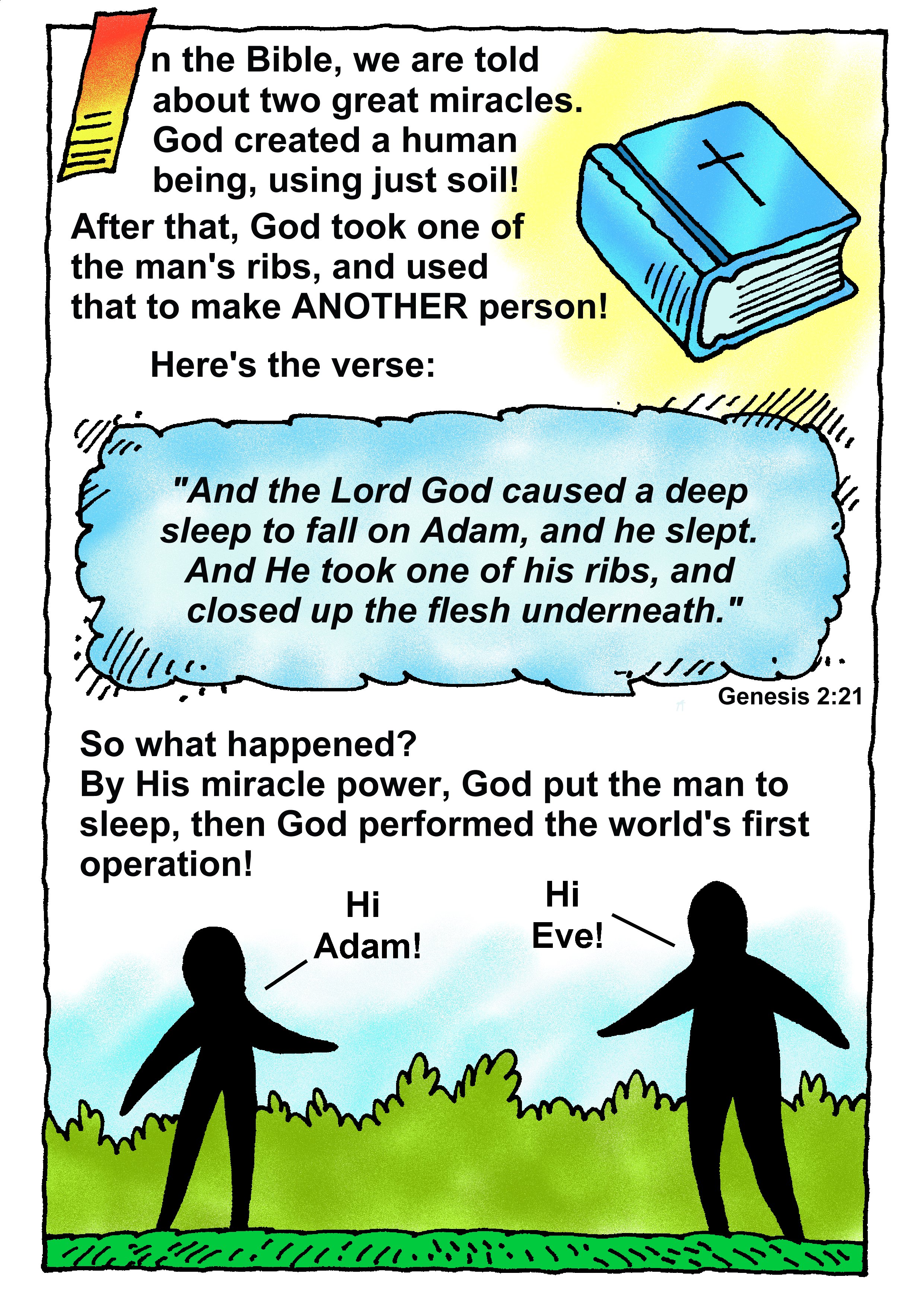 Creation/Adams Rib Richard Gunther free Christian resources